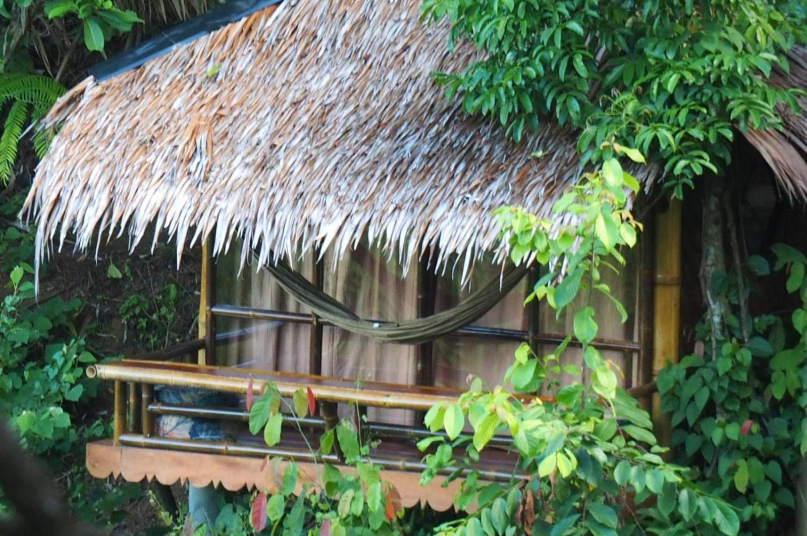 Thejungleguide - Lodges & Treks Bukit Lawang Exterior foto